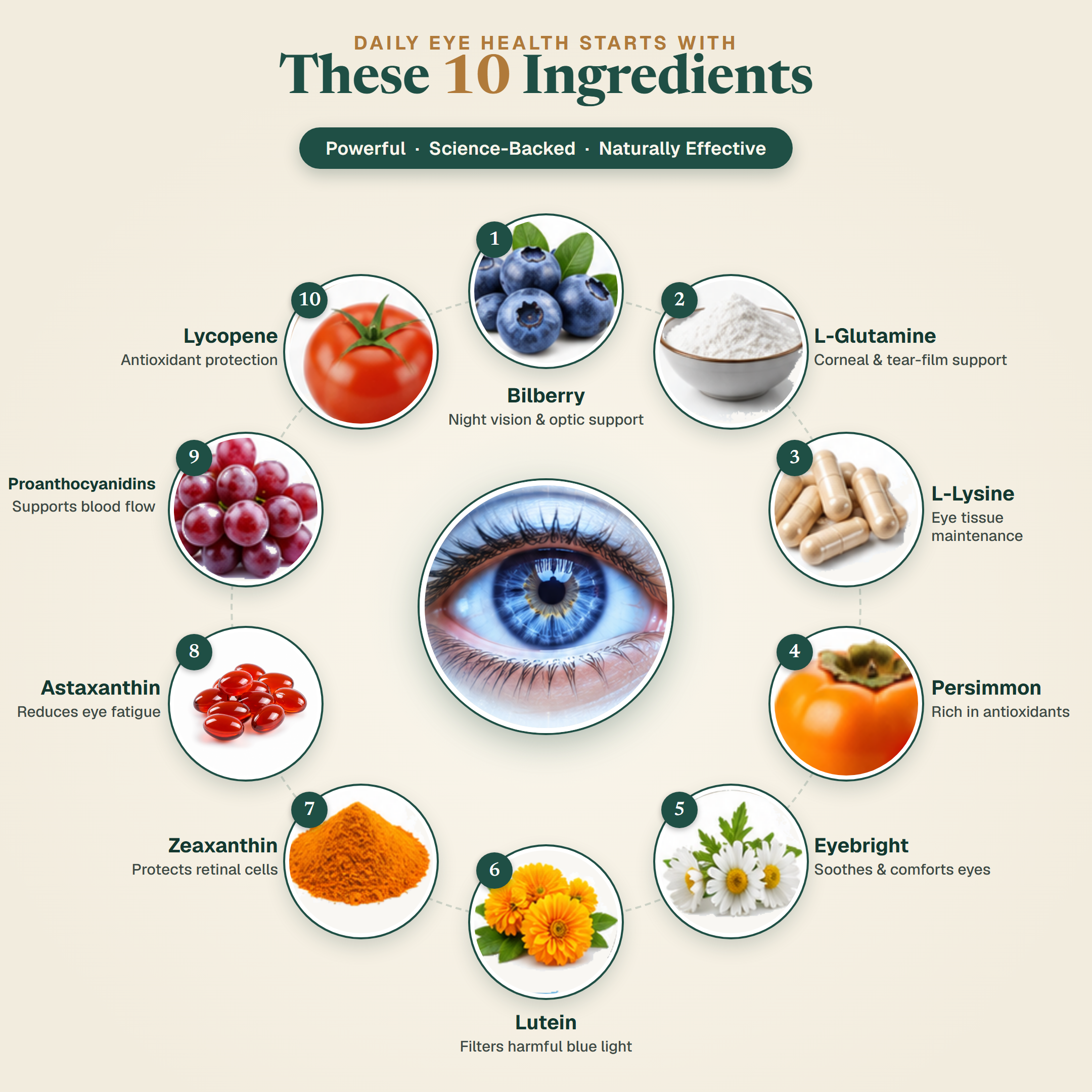 MacuMist Eye Health Supplement
